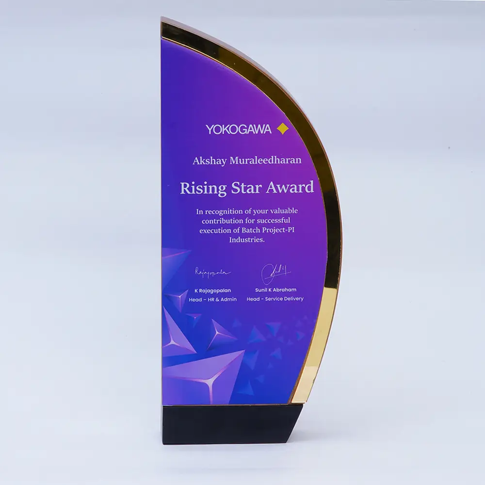 Sirius Trophy-Brown with Gold- 45 L — image 1