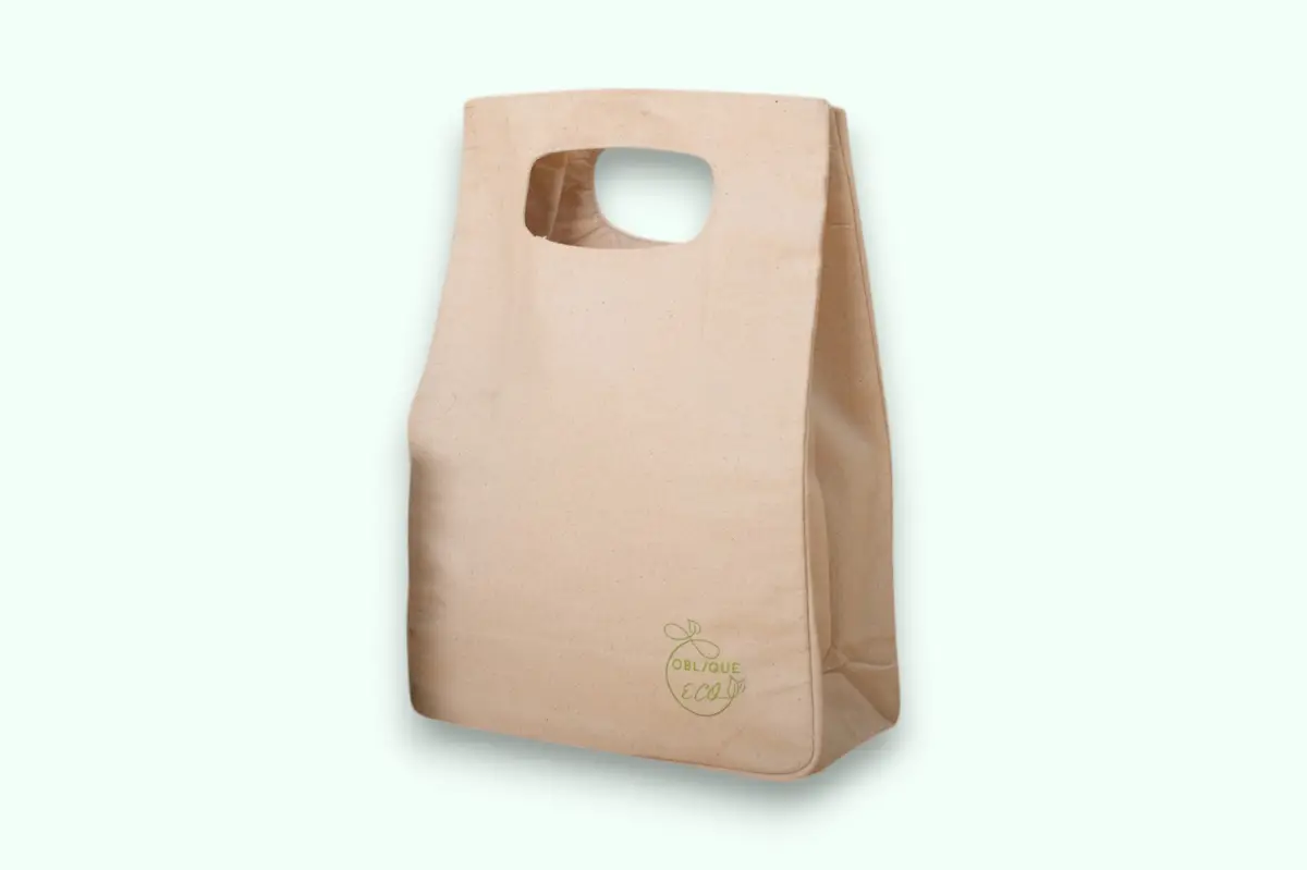 Oblique Willow Hand Held Canvas Lunch Bag — image 1