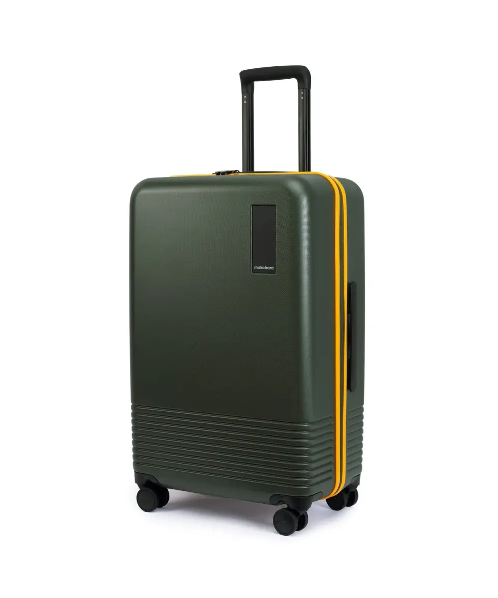 Check-in Luggage — image 1