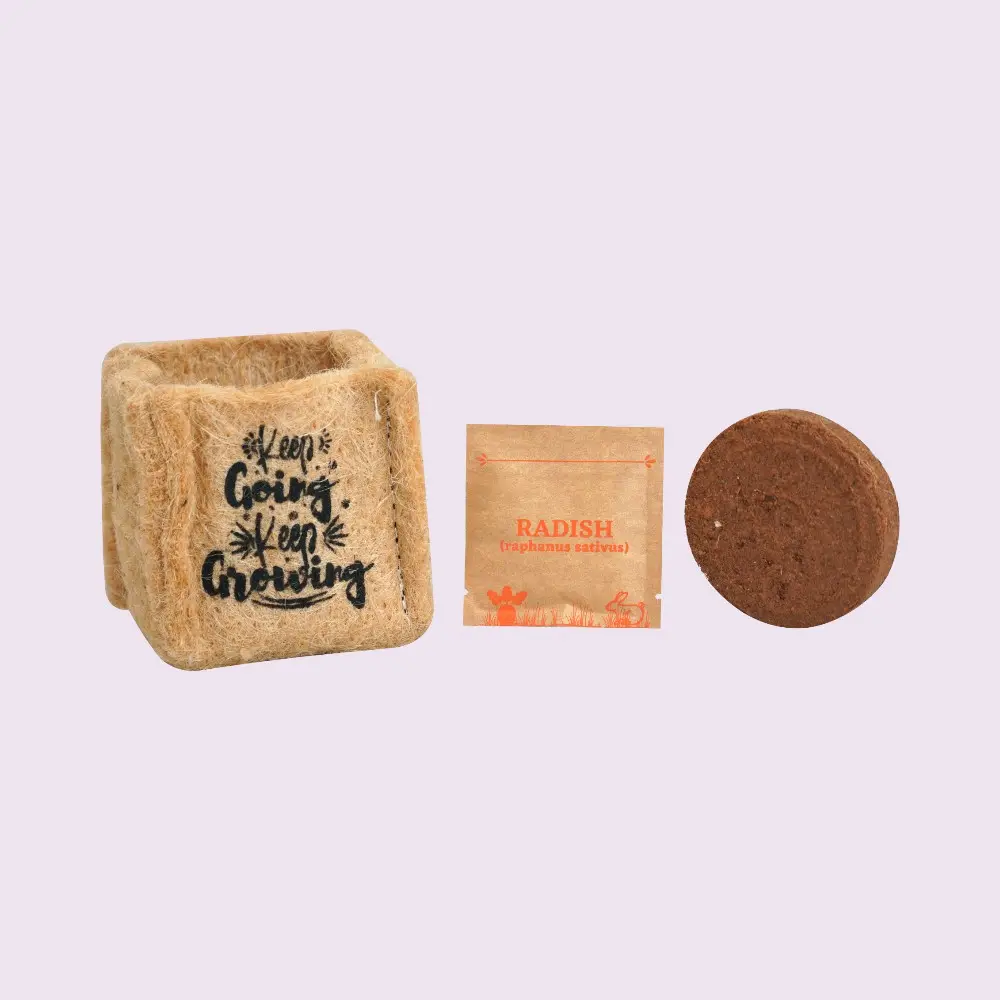 Inside every Seed Starter Kit- Natural Brown — image 1