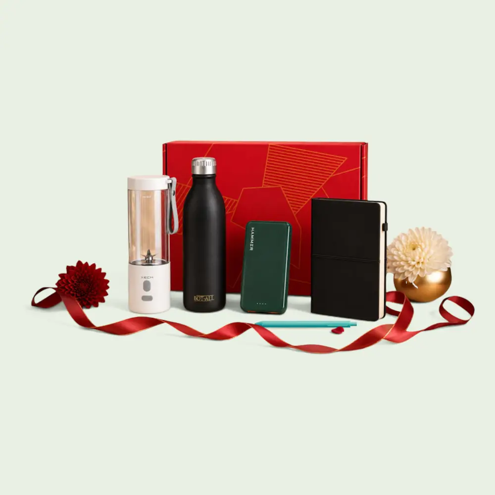 Shine & Tech Festive 5-in-1 Kit — image 1