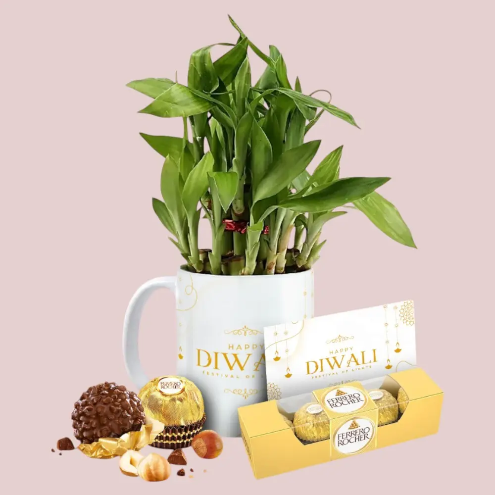 Monkcraft Eco-Conscious Gifting Kit — image 1