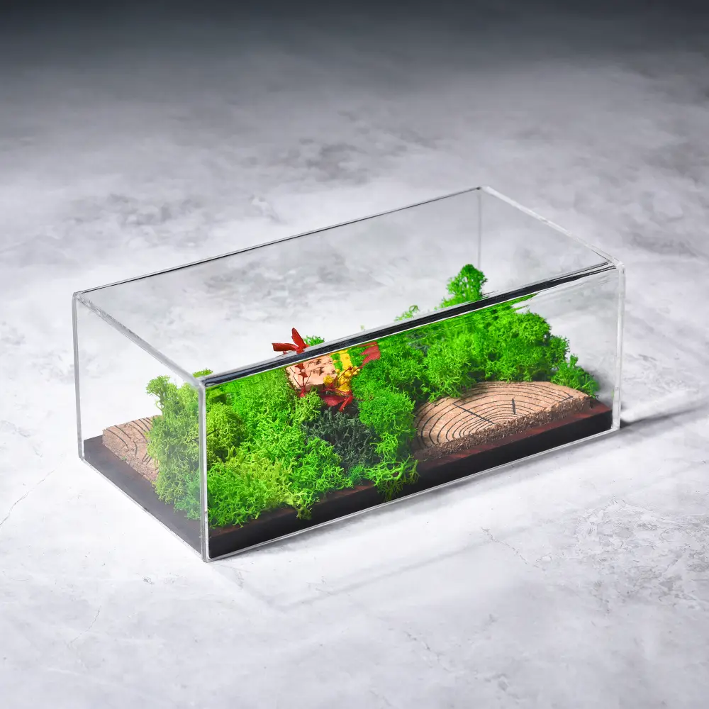 Forever Forest Terrarium Landscape 8"x4"x3.5" Panoramic Format — image 1
